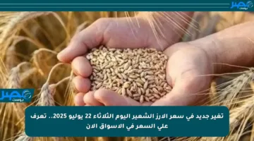 تغير جديد في سعر الأرز الشعير اليوم الثلاثاء 22 يوليو 2025.. تعرف على السعر في الأسواق الآن